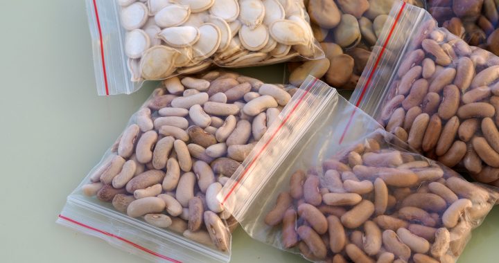 Diseño de empaques flexibles: cómo crear un packaging que destaque y proteja tu producto